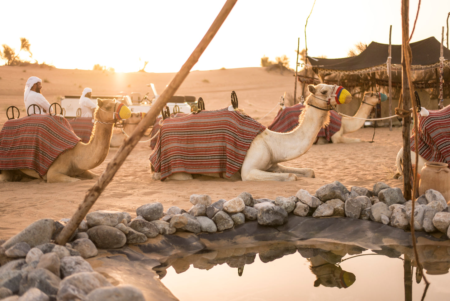 Desert Safari Premium