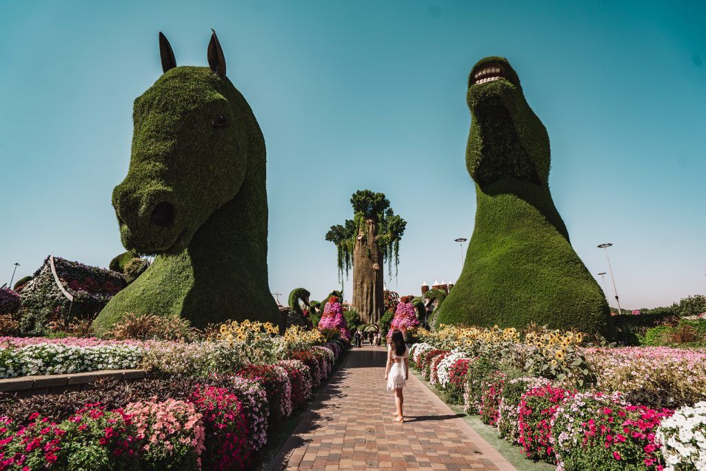 Miracle Garden