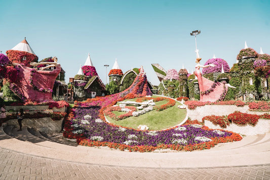 Miracle Garden