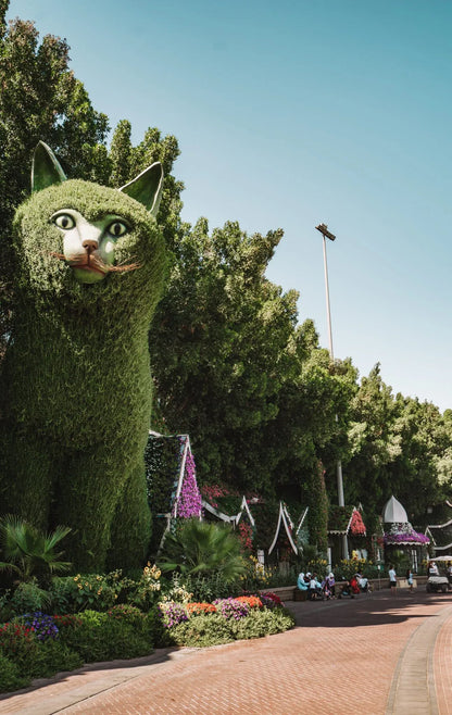 Miracle Garden