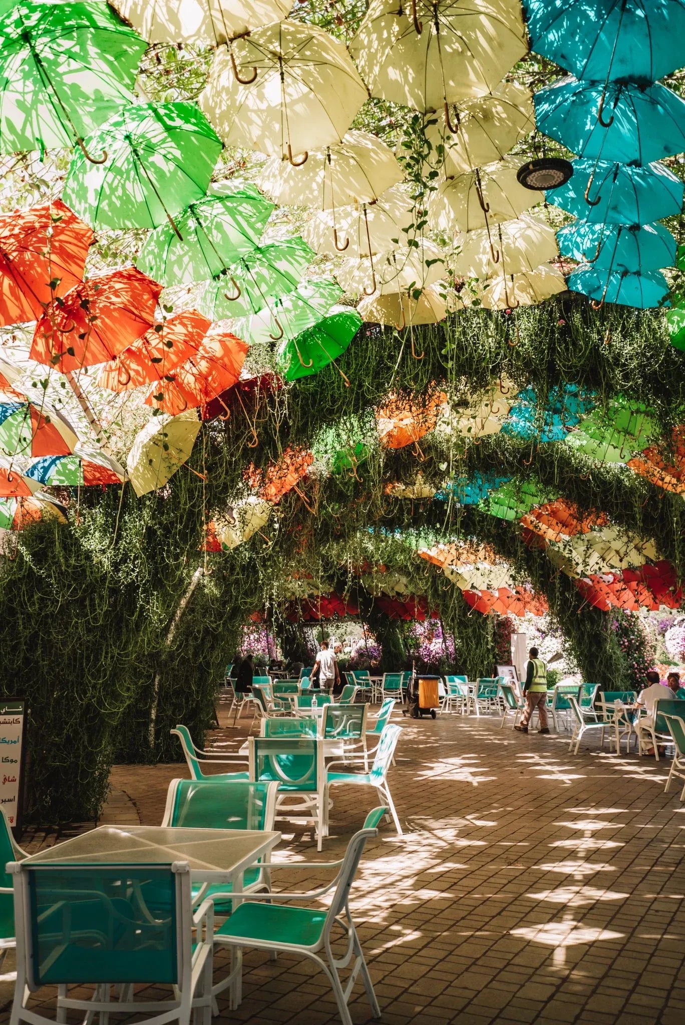 Miracle Garden