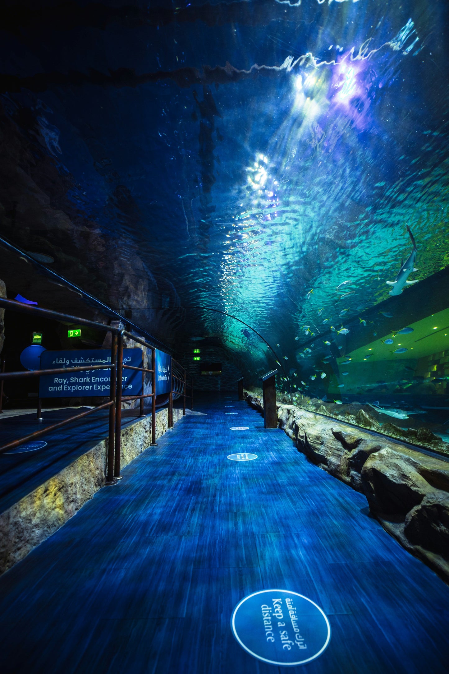 Dubai Aquarium & Underwater Zoo in Dubai Mall