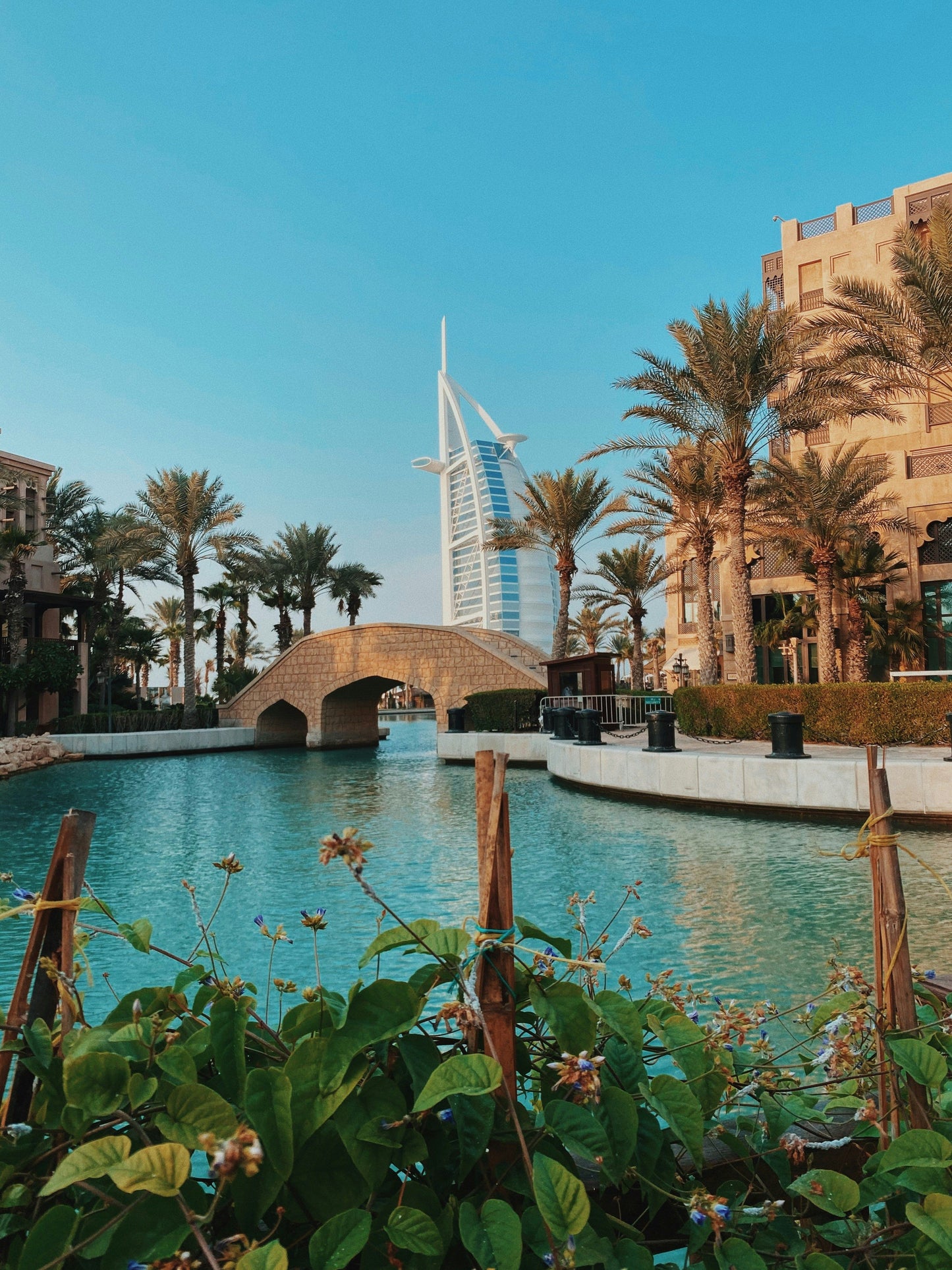 New Dubai Tour